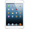 Apple iPad mini 16Gb Wi-Fi + Cellular белый - Котлас