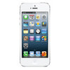 Apple iPhone 5 16Gb white - Котлас