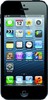 Apple iPhone 5 16GB - Котлас