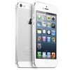 Apple iPhone 5 64Gb white - Котлас